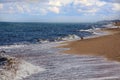 Wave on the beach. The shore of the sea. Seagull on the beach