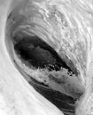 In the Wave Black and White