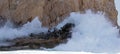 Wave breaking over on the Sea Lion colony at Lands End in Cabo San Lucas Baja Mexico Royalty Free Stock Photo