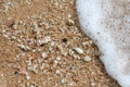 Wave bubble with little shells on the sand beach