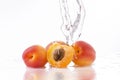 Apricots with water splash Royalty Free Stock Photo