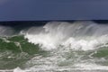 Wave, Coast at Hermanus in South Africa