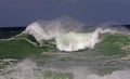 Wave, Coast at Hermanus in South Africa