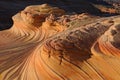 The Wave, Coyote Buttes