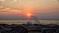 Wave Crashes on Jetty During Sunrise with Bird in Background Royalty Free Stock Photo