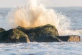 Wave crashing against green algae covered sea defence rocks