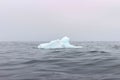 Small iceberg floating off course of newfoundland canada Royalty Free Stock Photo