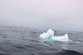 Small iceberg floating off course of newfoundland canada Royalty Free Stock Photo