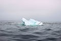 Wave crashing against small iceberg bit floating in sea Royalty Free Stock Photo