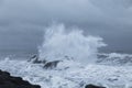 Wave crashing over rocks in Iceland coast Royalty Free Stock Photo