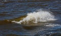 A wave crushing in sea shoreline Royalty Free Stock Photo