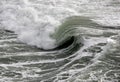 Wave curl Royalty Free Stock Photo