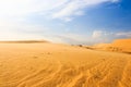 Wave on desert at Mui Ne, South Vietnam Royalty Free Stock Photo