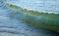 Wave on Divers Cove Beach in Laguna Beach, California. Royalty Free Stock Photo