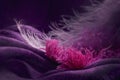 Wave of elegant violet textile texture with fine pink feathers. Royalty Free Stock Photo