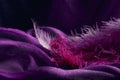 Wave of elegant violet textile texture with fine pink feathers. Royalty Free Stock Photo