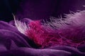 Wave of elegant violet textile texture with fine pink feathers. Royalty Free Stock Photo