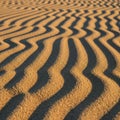 Wave-like formations occur due to wind action, typical in arid Royalty Free Stock Photo