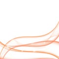 Wave orange transparent abstract on white background with copy space, vector illustration EPS10