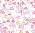 Japanese Pink Cherry Blossom Seamless Pattern Royalty Free Stock Photo