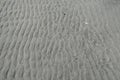 Wave pattern beach sand with paw prints