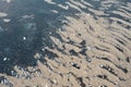 Wave pattern and shells in a sand on shallow water