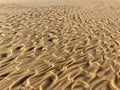 Wave patterns on the beach sand Royalty Free Stock Photo