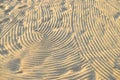 Wave patterns in the sand on the beach under the sun