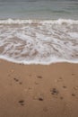 A wave reaches the beach