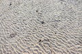 Wave ripples on sealine beach, Royalty Free Stock Photo