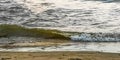 Wave of the river Rhein in Cologne at the Sandy beach shore in summer Royalty Free Stock Photo