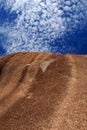 Wave Rock In Western Australia