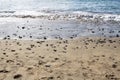 Sand beach with sea stones Royalty Free Stock Photo