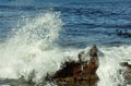 A wave smashing into rocks in the Atlantic Ocean Royalty Free Stock Photo