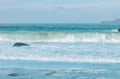 Wave splashes close-up. Crystal clear sea water hitting rock formations in the ocean in San Francisco Bay, blue water, pastel Royalty Free Stock Photo