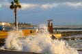 Wave storm splashing sea promenade beach summer palm tree