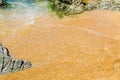 Wave on wet beach sand. TheClear water and sand on Mediterranean Sea on Costa Brava, Spain Royalty Free Stock Photo