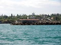 Wavecut on auberezes at the port of Sevastopol. Fighting the waves, the Black Sea Royalty Free Stock Photo