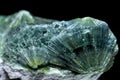 Wavellite from mine in Garland County, Arkansas, showing spherical structure.