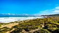 Waves of the Atlantic Ocean rolling into the shore between Cape of Good Hope and Platboom Beach Royalty Free Stock Photo