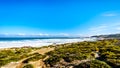 Waves of the Atlantic Ocean rolling into the shore between Cape of Good Hope and Platboom Beach Royalty Free Stock Photo