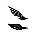 Wing logo falcon and bird vector Royalty Free Stock Photo