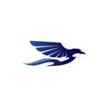 Wing logo falcon and bird vector Royalty Free Stock Photo
