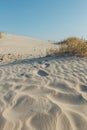 Waves in the beach sand dunes, Jekyll Island, Georgia Royalty Free Stock Photo