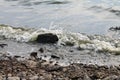 The waves beat against the shore rocks.