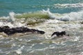 Waves beating against coastal rocks on the cliffs