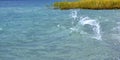 The waves breaking on a concrete embankment on lake ohrid, macedonia