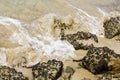 Waves breaking on giant rocks