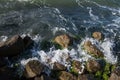 Waves breaking onto a stony seashore