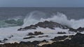 Waves breaking on the rocky coast of Vancouver Island viewed from Wild Pacific Trail in Ucluelet, Canada with foam in water. Royalty Free Stock Photo